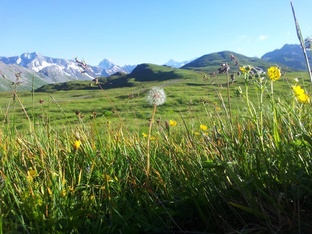 Berggasthaus Tannalp Frutt Eksteriør billede